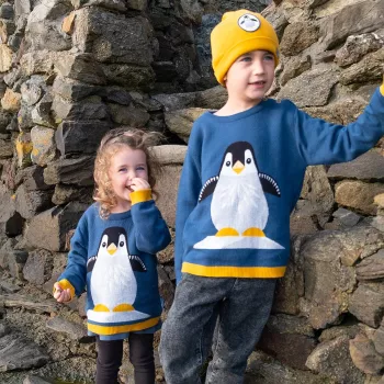 Pull Tricot Enfant Pingouin Porté 