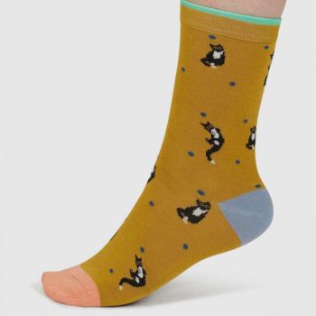 Coffret de 4 paires de chaussettes en coton biologique "Sasha Cat", ocre