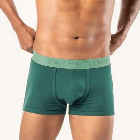 Lot de deux boxers "RODGER" coton bio, vert, GOTS et VEGAN