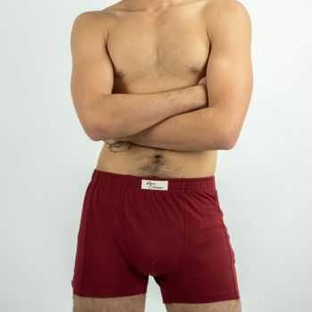 Boxer bio bordeaux 1