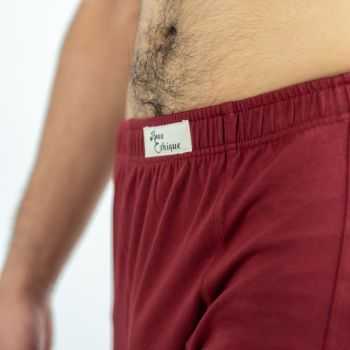 Boxer bio bordeaux 2