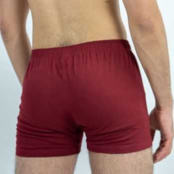 Boxer bio bordeaux 3