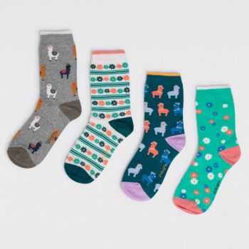 Coffret 4 paires de chaussettes en coton bio lamas et fleurs 1