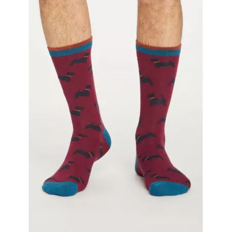 Chaussettes homme collections imprimés chiens 