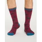 Chaussettes homme collection imprimés chiens 