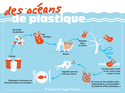 Infographie du Ministère de la Transition Ecologique