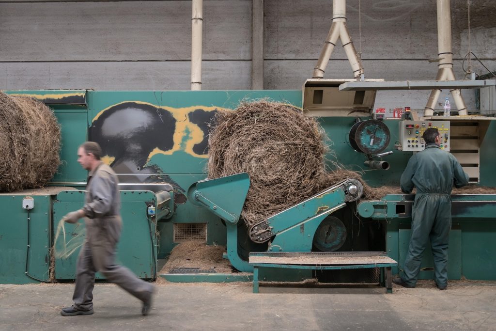 teillage transformation du lin en textile